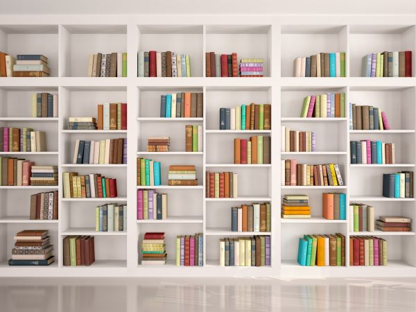 Bookshelf Assembly in Richardson